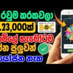 img_106559_e-money-sinhala-2024-new-online-salli-hoyana-krama-online-jobs-sinhala.jpg