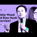 img_106834_elon-musk-and-cathie-wood-talks-spot-bitcoin-etf-approval-tesla.jpg