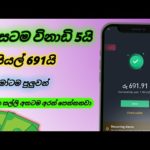 img_106980_earn-money-online-sinhala-online-jobs-at-home-watch-youtube-videos-and-earn-money.jpg