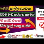 img_107054_e-momey-sinhala-bank-online-job-part-time-e-money-bissness-sinhala.jpg