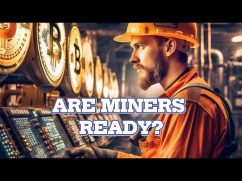 Bitcoin Mining CEOs speak about the Bitcoin HALVING in 2024!