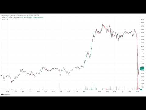 Bitcoin Mining Boom: Inscription & Monetary Transfers Both Hit ATHs