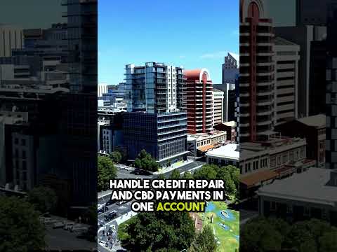 Streamlining Payment Processes: A Guide to Credit Repair Merchant Accounts