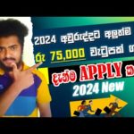 img_107632_2024-new-job-vacancy-update-new-jobs-jobvacancy-srilanka-swayanrekiya-newjobs-jobs.jpg