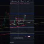 img_107716_bitcoin-price-prediction-after-etf-approval-bitcoinetf-btcspotetf-etf-bitcoin-bitcoinnews-crypto.jpg