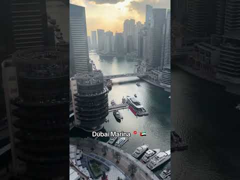 Dubai Marina UAE #dubai #uae #dubaimarina #bitcoin #bitcoinuae #bitcoindubai #bitcoinmining #cryptom