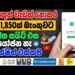 img_108302_online-jobs-sinhala-free-usdt-mining-site-new-e-money-site-sinhala.jpg