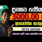 img_108460_online-money-earn-jobs-sinhala-how-to-earn-e-money-hive-micro-money-2024-free-usdt-earn-site.jpg