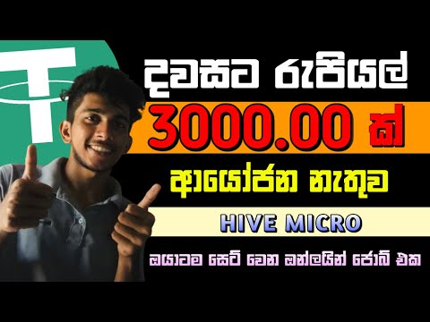 Online Money Earn Jobs Sinhala. How To Earn E- Money. Hive Micro Money 2024. Free Usdt Earn Site