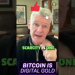 img_108744_bitcoin-is-digital-gold-and-better-than-gold-says-mark-yusko.jpg