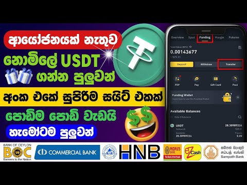 Free USDT Earning site 2024 | Earn USDT without investment | Online jobs sinhala | Succeed Pathway