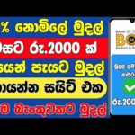 img_108790_100-e-money-sinhala-2024-online-jobs-online-salli-hoyana-krama.jpg