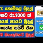 100% නොමිලේ පැයෙන් පැයට මුදල් - e money sinhala 2024 - online jobs - online salli hoyana krama img_108790_100-e-money-sinhala-2024-online-jobs-online-salli-hoyana-krama.jpg