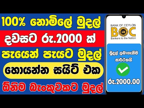 100% නොමිලේ පැයෙන් පැයට මුදල් - e money sinhala 2024 - online jobs - online salli hoyana krama