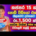 img_108832_online-business-sinhala-online-salli-hoyana-krama-online-jobs-at-home-sinhala-e-money-jobs-new.jpg