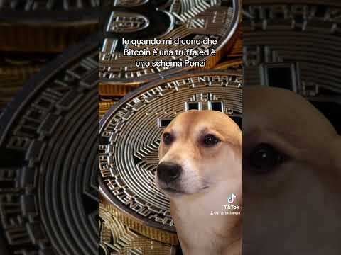 Quando mi dicono che Bitcoin è una truffa ed è uno schema Ponzi #shorts #meme #crypto