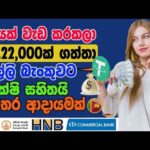 img_109673_15000-e-money-sinhala-online-jobs-at-home-online-jobs-sinhala.jpg