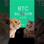 img_110379_doglapan-pro-max-bullrun-financialfreedom-crypto-bitcoin-dot-dot2-0-airdrop-bitcoinnews.jpg