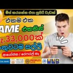 img_110405_e-money-sinhala-2024-online-jobs-sinhala-2024.jpg