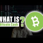 img_110455_bitcoin-cash-bch-in-2024-why-you-should-invest-now.jpg