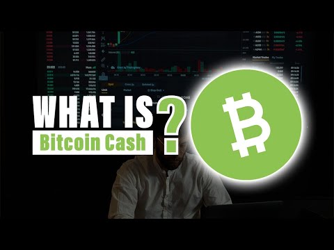 Bitcoin Cash (BCH) in 2024 Why You Should Invest Now.