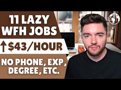 11 BEST Remote Jobs for LAZY People Paying ⬆️$43/Hour