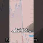 img_110729_who-just-moved-1000-quot-vintage-quot-bitcoins-bitcoin-crypto-bitcoinnews-cryptocurrency.jpg