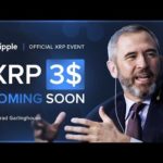 img_110899_brad-garlinghouse-ripple-global-2024-xrp-price-analysis-and-sec-news.jpg