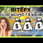 img_111083_free-trx-50-earn-money-online-online-jobs-at-home-how-to-earning-e-money-for-sinhala.jpg