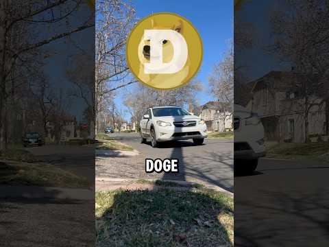 Doing #gig jobs to buy as much #doge as I can