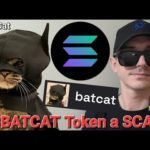 img_111865_batcat-is-batcat-token-a-scam-bat-cat-sol-solana-memecoin-crypto-coin-raydium-jupiter-birdeye.jpg