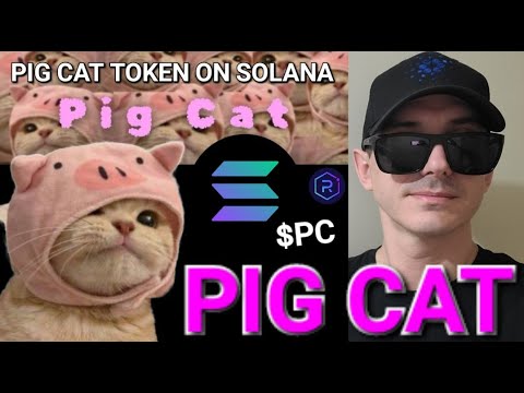 $PC - Is PIG CAT TOKEN a SCAM?!? PC SOL SOLANA CRYPTO COIN PIGCAT RAYDIUM JUPITER BIRDEYE ORCA MEME