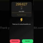 img_112117_online-mit-lightning-bezahlen-bitcoin-lightning-bitcoinmining-bitcoinnews-shopping.jpg