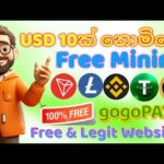 img_112675_free-usd-mining-site-2024-online-jobs-at-home-how-to-make-money-online-emoney-2024.jpg