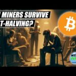 img_113277_will-the-halving-bankrupt-bitcoin-miners.jpg