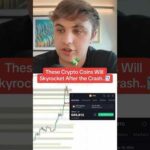 img_113459_these-crypto-coins-will-skyrocket-after-the-crypto.jpg