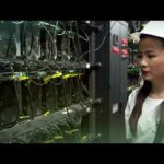 img_113473_bitcoin-mining-with-billion-bison.jpg