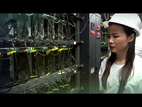 Bitcoin mining with Billion Bison