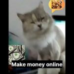 img_114903_make-money-online-shortvideo-youtube-special-moments.jpg