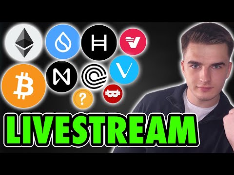 Krypto: Ist es Zeit zum AUFGEBEN? | Bitcoin & Altcoin Livestream