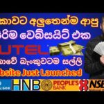 img_115803_free-money-earn-site-2023-online-jobs-at-home-how-to-make-money-online-emoney-2023.jpg