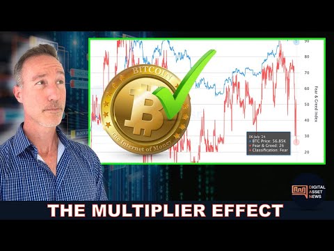 THE BITCOIN MULTIPLIER EFFECT & THE ONE THING I FEAR