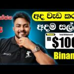 img_117782_binance-sinhala-2024-online-job-sinhala-emoney-sinhala.jpg