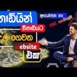 img_119656_how-to-earn-money-in-sinhala-online-job-at-home-cryptocurrency-sinhala.jpg