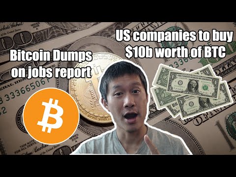 Bitcoin Dumps on Jobs Report. US Corps to buy  $10.3B of Bitcoin. Ripple Founder endorses Harris.