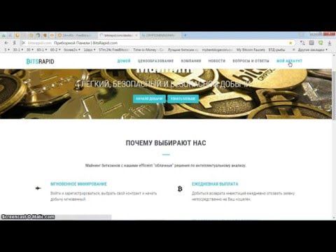 bitsrapid майнинг