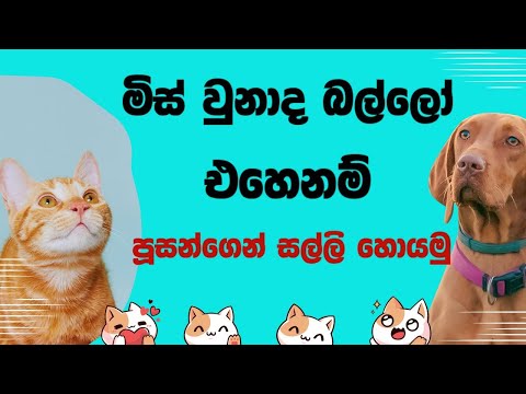 Cats airdrop sinhala | emoney sinhala | Telegram cats | online jobs | online salli hoyana krama