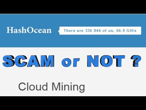 HashOcean.com  SCAM or NOT ?