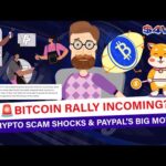 img_120829_bitcoin-rally-incoming-crypto-scam-shocks-amp-paypal-s-big-move.jpg