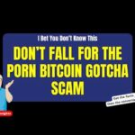 img_121293_how-to-protect-yourself-from-the-terrifying-porn-bitcoin-scam.jpg